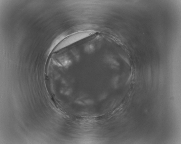 X0000078030099200611251606