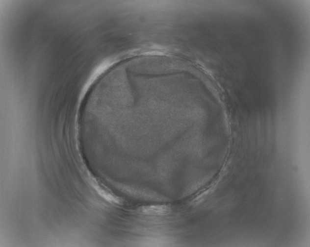 X0000078030102200611251606