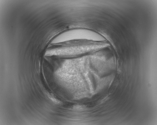 X0000078030109200611251606