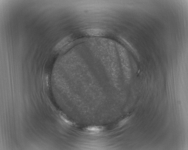 X0000078030117200611251605
