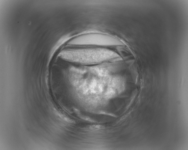 X0000078030152200611251604