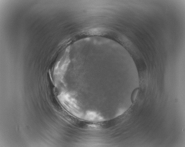 X0000078030167200611251605