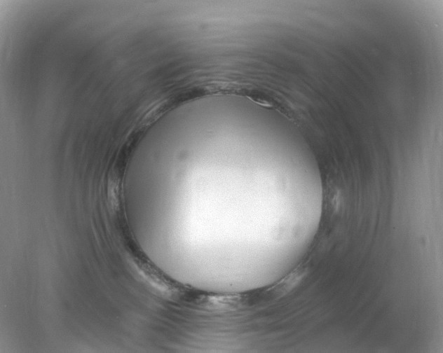 X0000078030188200611251605