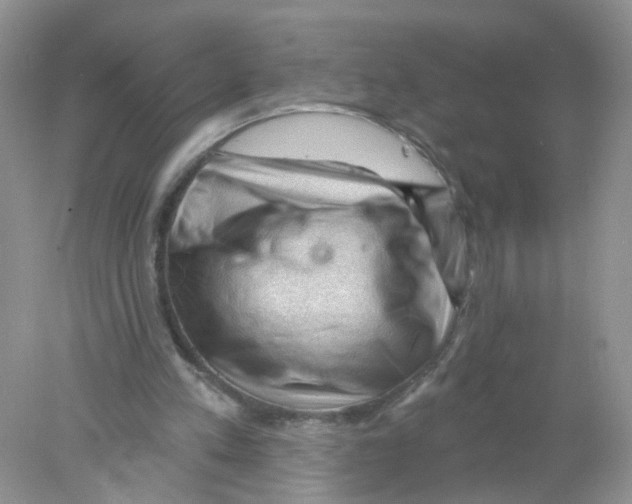 X0000078030197200611251604