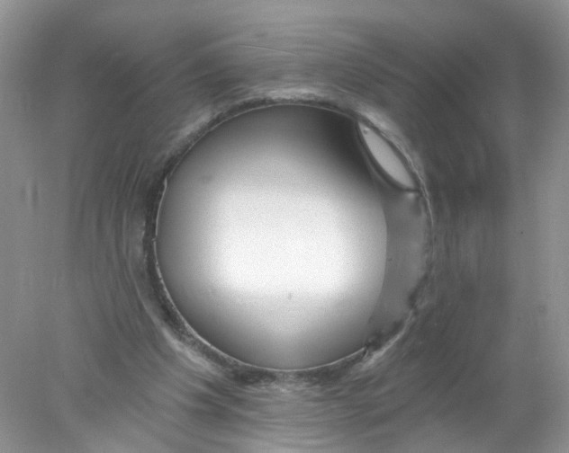 X0000078030201200611251604