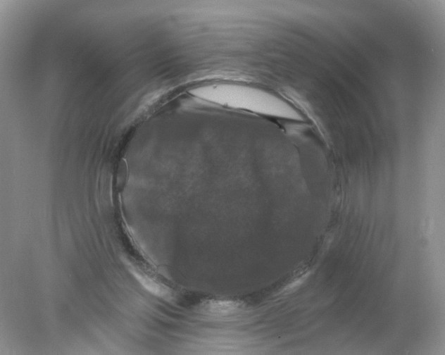 X0000078030205200611251604
