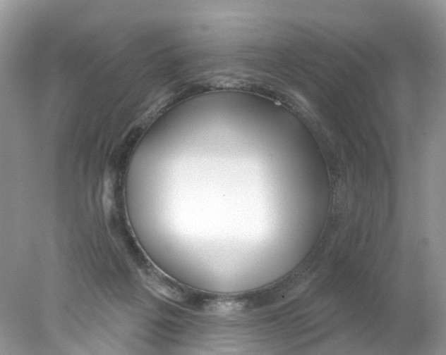 X0000078030217200611251604