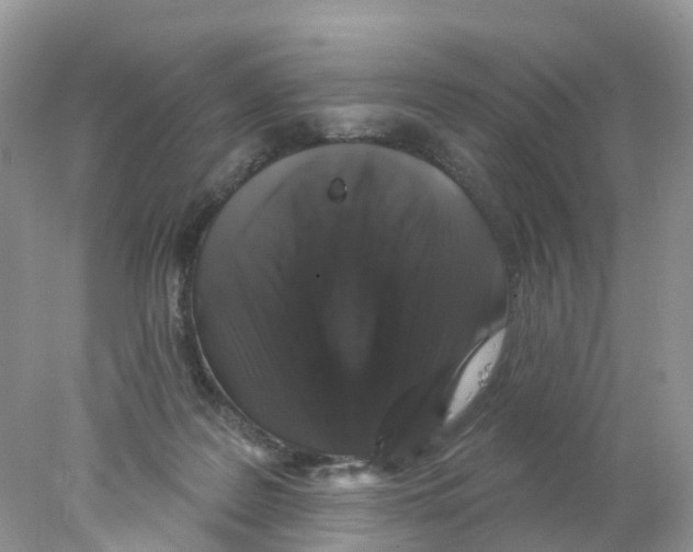 X0000078030219200611251604