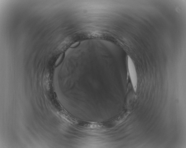 X0000078030223200611251604