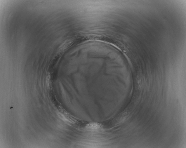 X0000078030231200611251604