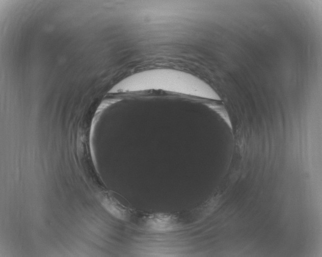 X0000078030235200611251604