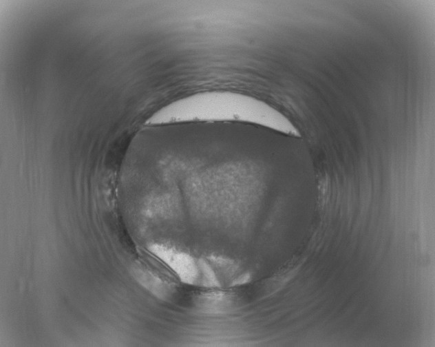 X0000078030237200611251603