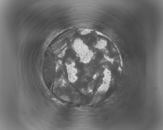X0000078030241200611251603