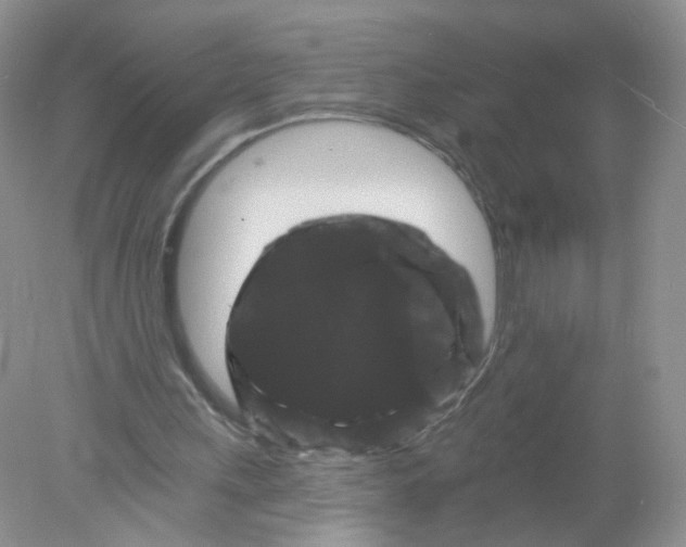 X0000078030243200611251603