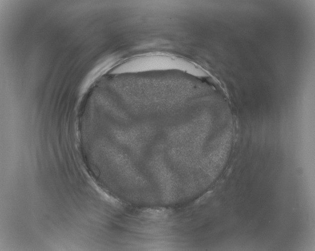 X0000078030245200611251603