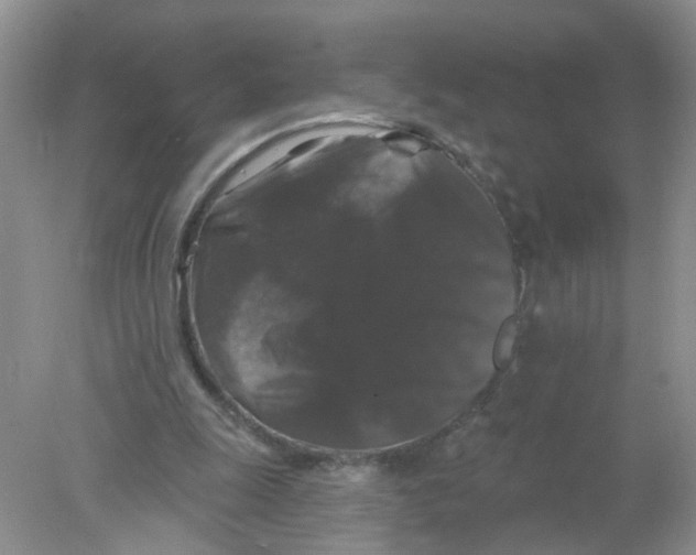 X0000078030247200611251603