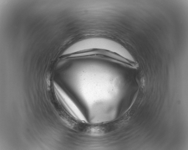 X0000078030264200611251603