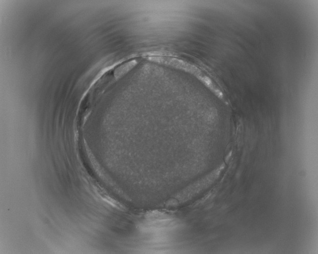 X0000078030290200611251603