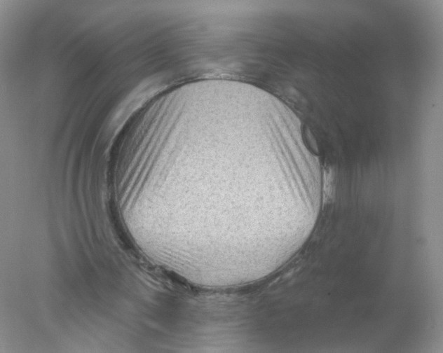 X0000078030291200611251603