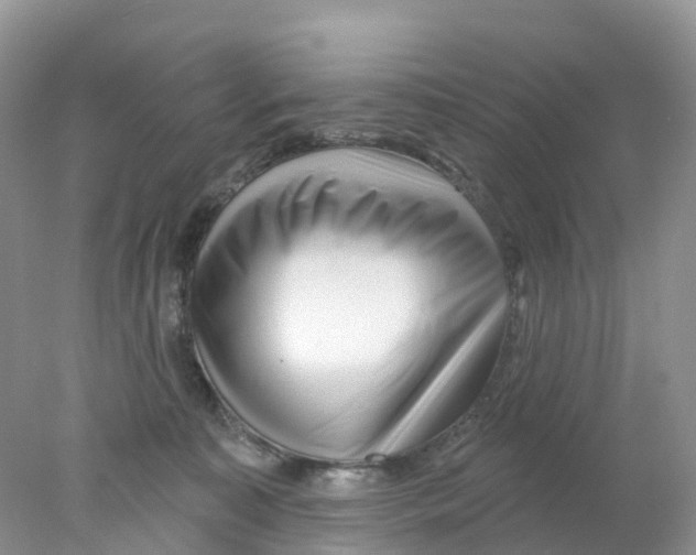 X0000078030323200611251602