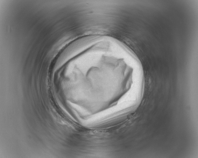 X0000078030338200611251601