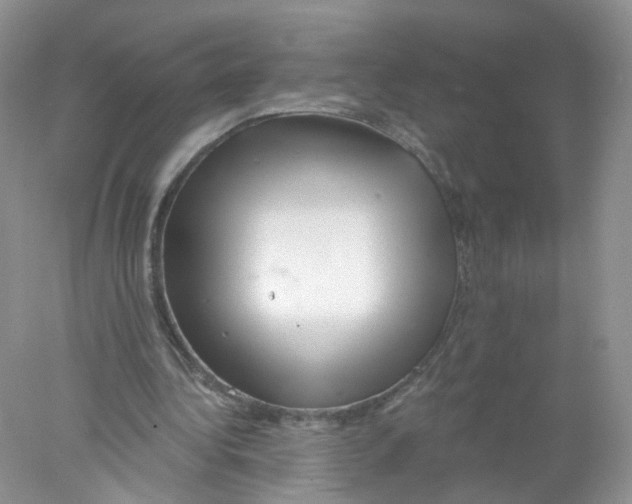 X0000078030340200611251601