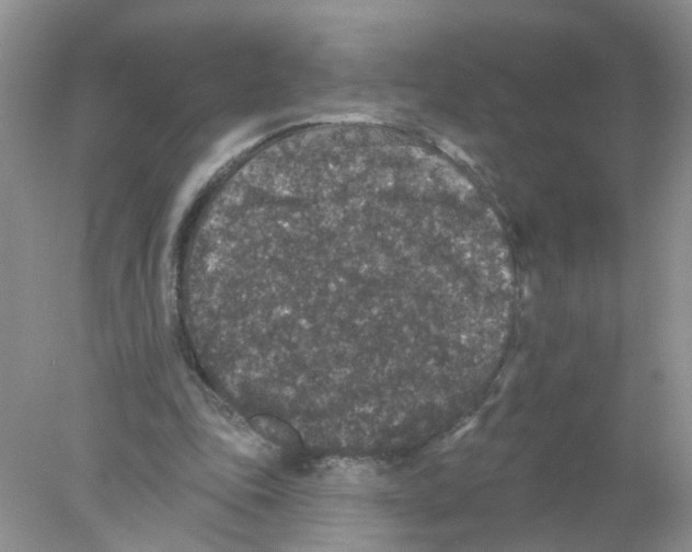 X0000078030343200611251601