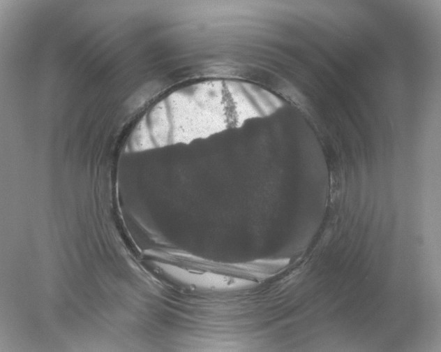 X0000078030349200611251601