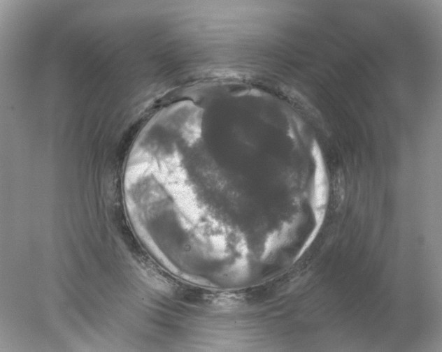 X0000078030359200611251601