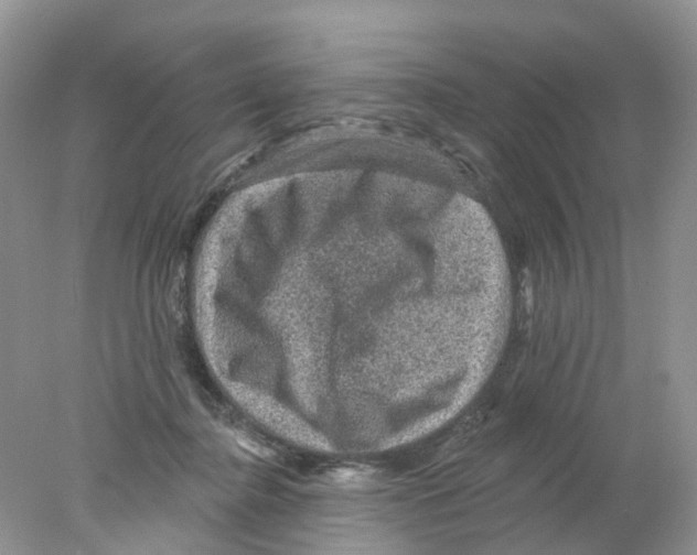 X0000078030364200611251601