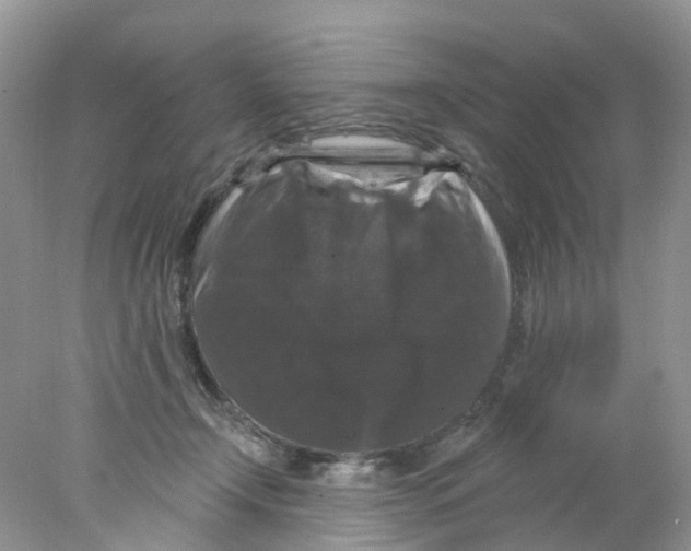 X0000078030366200611251601