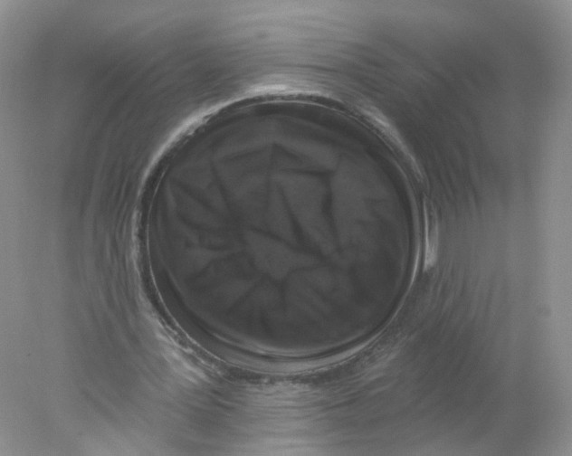 X0000078030387200611251601
