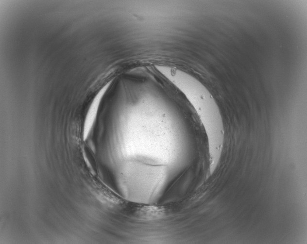 X0000078030421200611251600