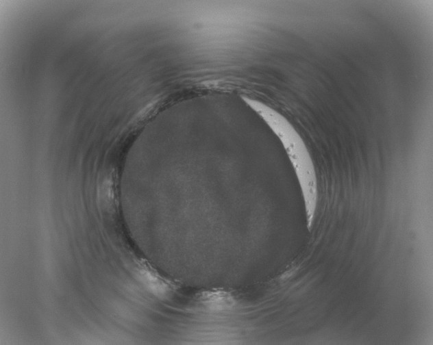 X0000078030424200611251600