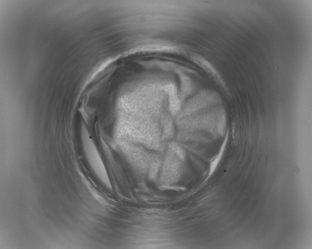 X0000078030436200611251559