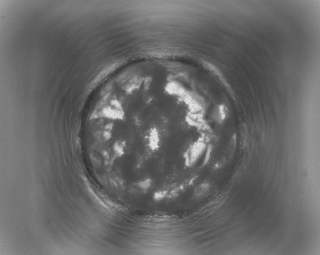 X0000078030443200611251600