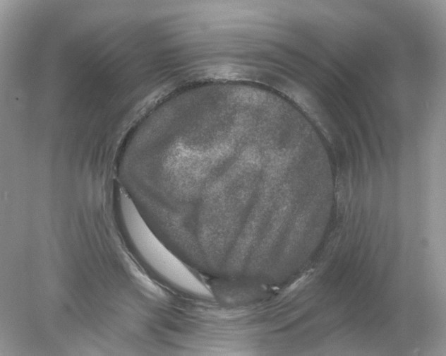 X0000078030445200611251600