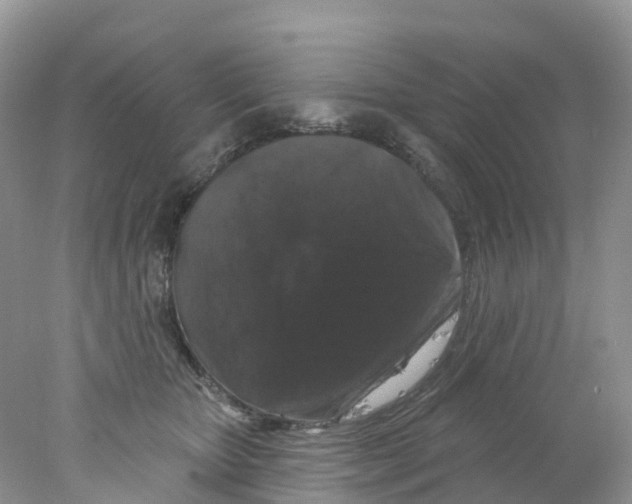 X0000078030467200611251600