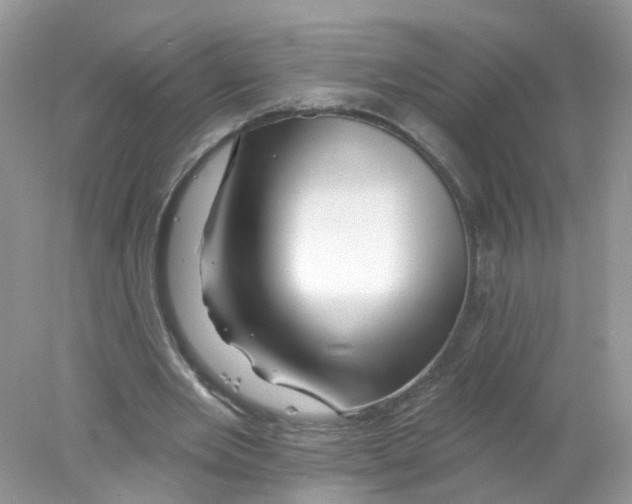 X0000078030485200611251559