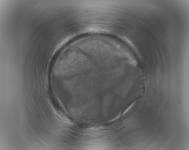 X0000078030488200611251559