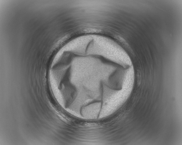 X0000078030490200611251559