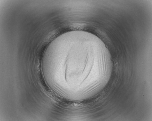 X0000078030498200611251559