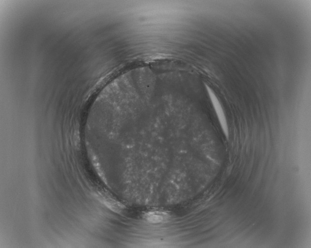 X0000078030508200611251559