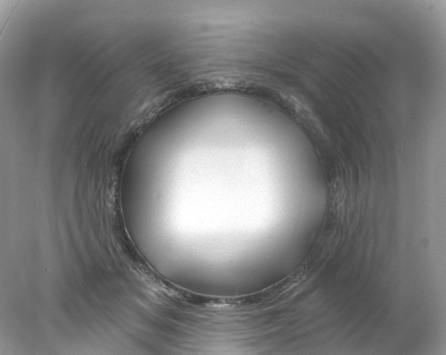 X0000078030509200611251559