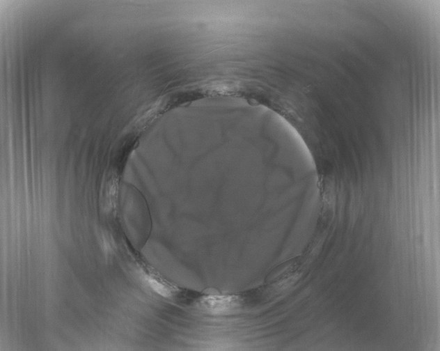 X0000078030526200611251559