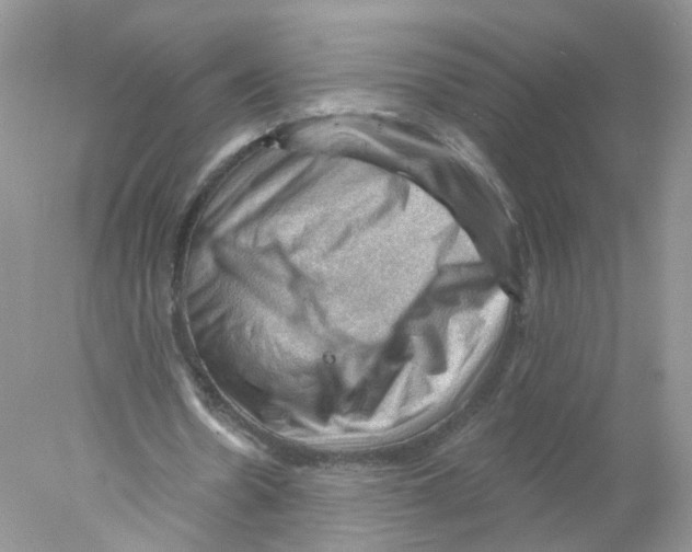 X0000078030530200611251558
