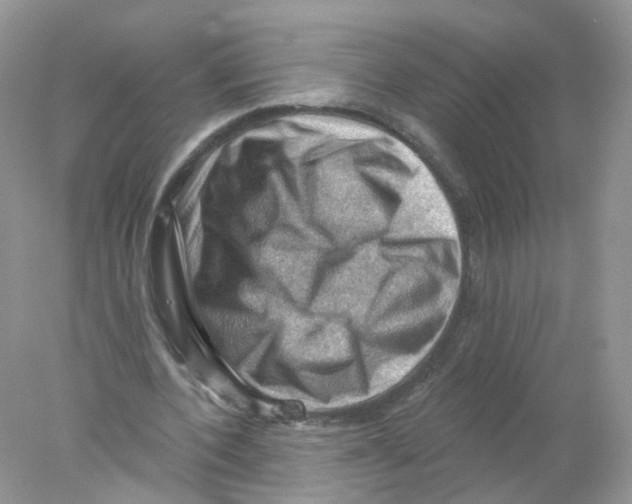 X0000078030532200611251558