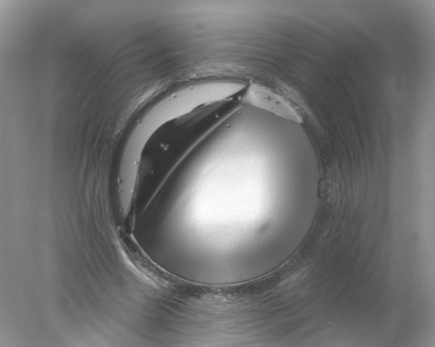X0000078030538200611251558