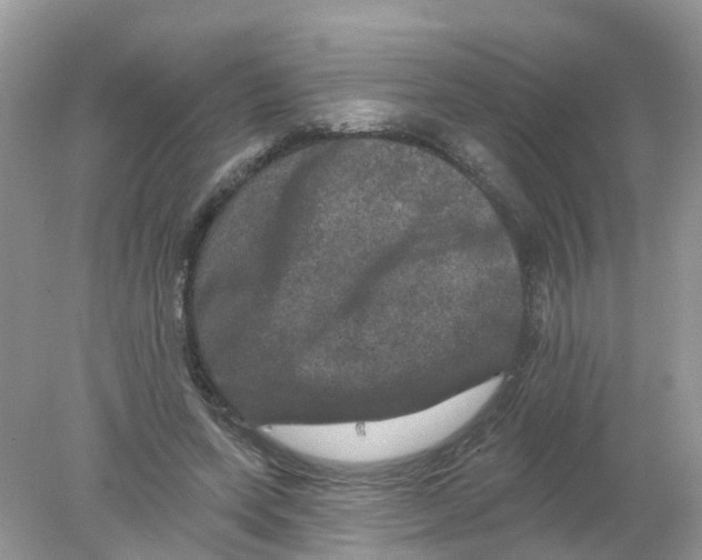 X0000078030543200611251558