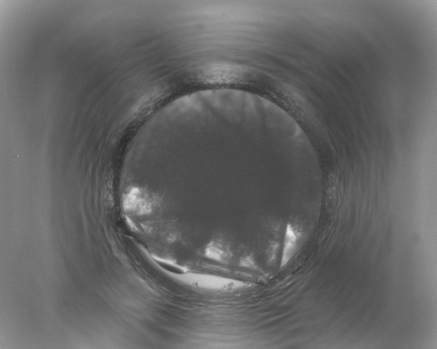X0000078030547200611251558